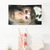 gefährdete Regenwaldreifen Banner (Insitu)