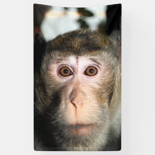 gefährdete Regenwaldreifen Banner (Vertikal)