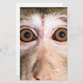 gefährdete Regenwaldreifen Briefpapier (Vorne/Hinten)