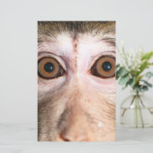 gefährdete Regenwaldreifen Briefpapier (Stehend Vorderseite)