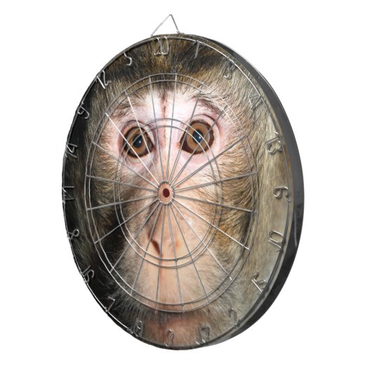 gefährdete Regenwaldreifen Dartscheibe (Vorderseite rechts)