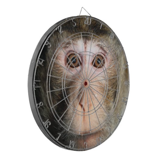 gefährdete Regenwaldreifen Dartscheibe (Vorderseite Links)