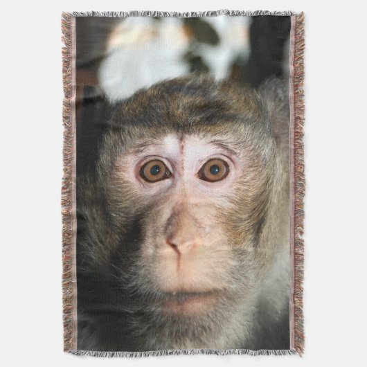 gefährdete Regenwaldreifen Decke (Vorderseite Vertikal)