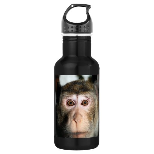 gefährdete Regenwaldreifen Edelstahlflasche (Vorderseite)