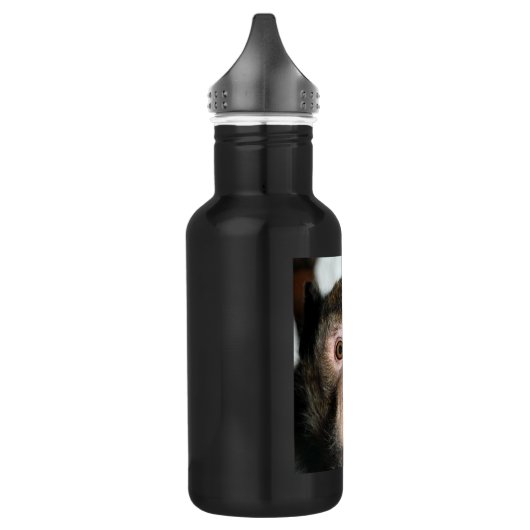 gefährdete Regenwaldreifen Edelstahlflasche (Links)