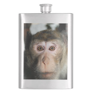 gefährdete Regenwaldreifen Flachmann