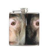 gefährdete Regenwaldreifen Flachmann (Vorderseite)