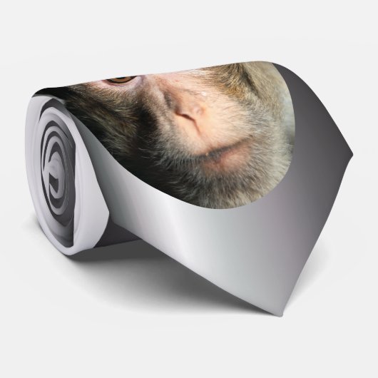 gefährdete Regenwaldreifen Krawatte (Gerollt)