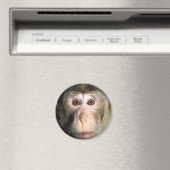 gefährdete Regenwaldreifen Magnet (In Situ (Geschirrspüler))