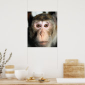 gefährdete Regenwaldreifen Poster (Küche)