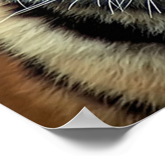 gefährdete Tiger-Cub Poster (Ecke)