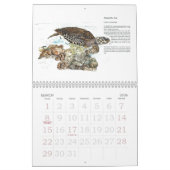 Gefährdete Wildtiersammlung Kalender (Mär 2026)