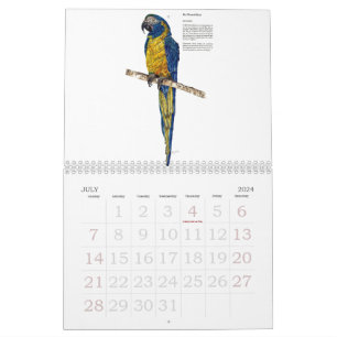 Gefährdete Wildtiersammlung Kalender