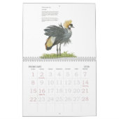 Gefährdete Wildtiersammlung Kalender (Feb 2026)