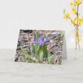 Gefährdete zwergartige See-Iris Notecard Karte (Gelbe Blume)
