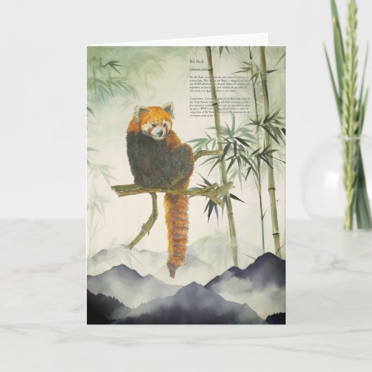 Gefährdeter handgemalter Roter Panda Karte (Vorderseite)