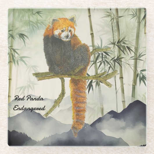 Gefährdeter Niedlicher, handgemalter Roter Panda Glasuntersetzer (Vorderseite)