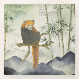 Gefährdeter Niedlicher, handgemalter Roter Panda Glasuntersetzer