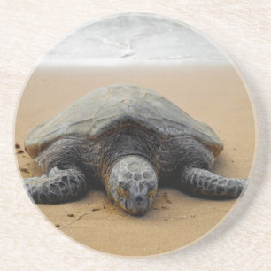 Gefährdeter Seeschildkröte-Untersetzer Untersetzer