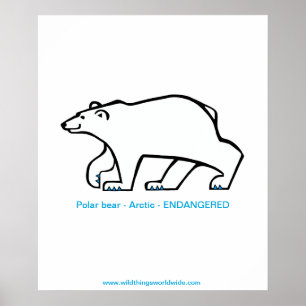 gefährdetes Tier - Polar BEAR - Arktische wild leb Poster