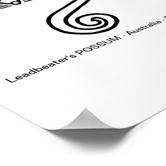 gefährdetes Tier - POSSUM des Leadbeaters - Austra Poster (Ecke)