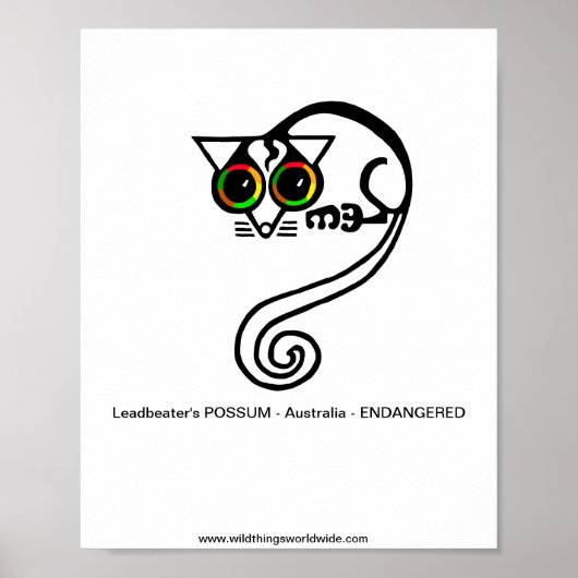 gefährdetes Tier - POSSUM des Leadbeaters - Austra Poster (Vorne)