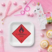 Gefahrenhinweis für das Gefahrenschild "Flammbare Pappteller (Party)