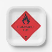 Gefahrenhinweis für das Gefahrenschild "Flammbare Pappteller (Vorderseite)