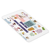 Gefährliche Lebensmittel für Hunde Kühlschrank Mag Magnet (Rechte Seite)