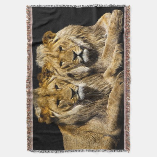 Gefährliche Raubfische Decke (Vorderseite Vertikal)