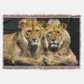 Gefährliche Raubfische Decke (Vorderseite)