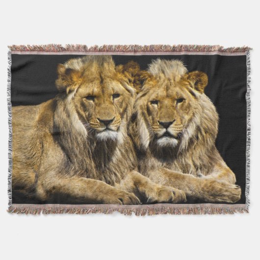 Gefährliche Raubfische Decke (Vorderseite)