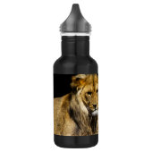 Gefährliche Raubfische Edelstahlflasche (Links)