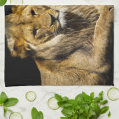 Gefährliche Raubfische Geschirrtuch (Gefaltet)