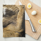 Gefährliche Raubfische Geschirrtuch (Viertel Falte)