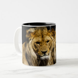 Gefährliche Raubfische Zweifarbige Tasse
