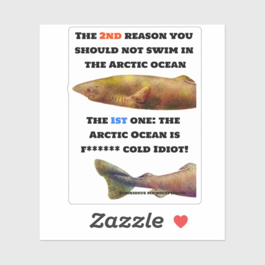 Gefährlicher arktischer Ozean - Grönlandhai Aufkleber (Blatt)