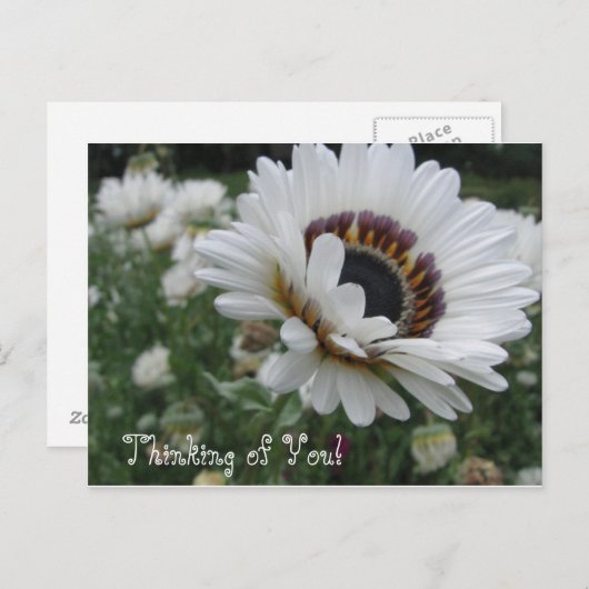 Gefallen an dir postkarte (Vorne/Hinten)