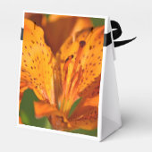 Gefallen Box & Geschenke Geschenkschachtel (Rückseite)