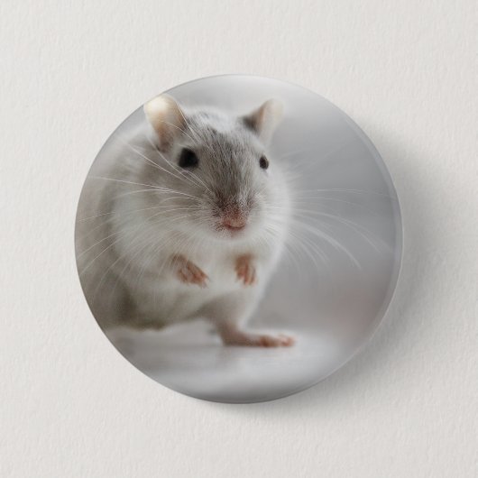 GEFALLEN, UM SIE ZU TREFFEN BUTTON (Vorderseite)