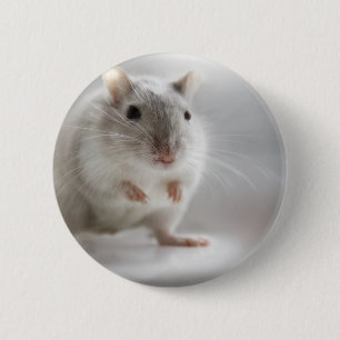 GEFALLEN, UM SIE ZU TREFFEN BUTTON