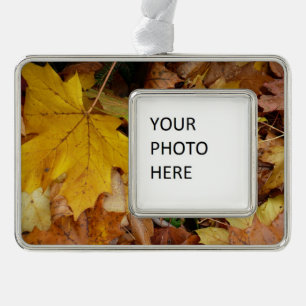 Gefallene Ahornblätter Gelber Herbst Natur Rahmen-Ornament Silber