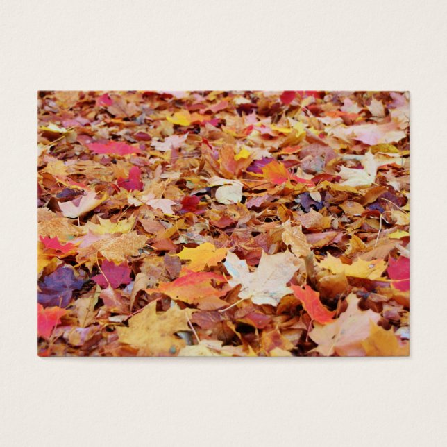 Gefallene Blätter im Herbst (Vorderseite)