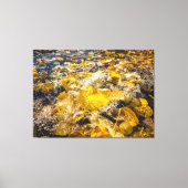 Gefallene Blätter im Wasser Leinwanddruck (Vorderseite)