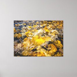 Gefallene Blätter im Wasser Leinwanddruck