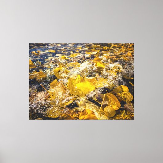 Gefallene Blätter im Wasser Leinwanddruck (Vorderseite)