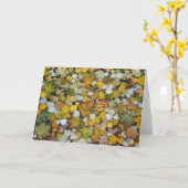 Gefallene Blätter in Lettland. Karte (Gelbe Blume)