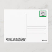 Gefallene Blätter Postkarte (Rückseite)