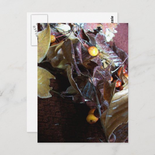 Gefallene Blätter Postkarte (Vorne/Hinten)