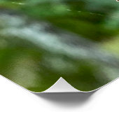 Gefallene Eicheln auf dem Baum Poster (Ecke)